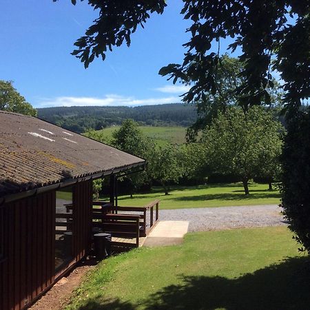 Laburnum Lodge Sleeps 6 Wheelchair Access مينهيد المظهر الخارجي الصورة